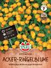 Calendula arvensis "Frhlingssonne" - Acker-Ringelblume