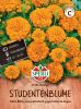 Tagetes patula "Petite Orange" - Studentenblume