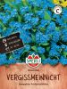 Myosotis sylvatica "Blauer Ball" - Vergimeinnicht