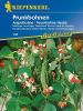 Prunkbohne / Feuerbohne "Hestia" - Phaseolus coccineus