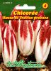 Chicore "Rossa di Treviso precoce" - Cichorium intybus var. foliosum