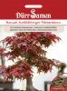 Acer palmatum atropurpureum - Japanischer rotblttriger Fcherahorn