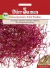 Keimsprossen "Rote Rben" - Beta vulgaris (Bio)