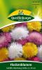 Amberboa moschata - Flockenblume, gefllte Mischung