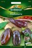 Chili "Habanero Chocolate" - Capsicum chinense