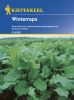 Winterraps - Brassica napus - Grndnger