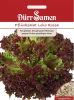 Pflcksalat "Lollo rossa" - Lactuca sativa