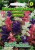 Salvia viridis - Buntschopfsalbei Mischung