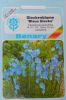 Campanula persicifolia "Blaue Glocke" - Pfirsichblttrige Glockenblume