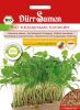 Microgreen-Saat "Koriander" - Coriandrum sativum (Bio)