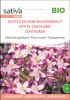 Centaurium erythrea - Echtes Tausendgldenkraut (Bio-Samen)
