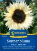 Helianthus annuus "ProCut White Nite" - Sonnenblume