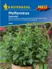 Pfefferminze "Spearmint" - Mentha spicata