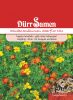 Tagetes tenuifolia "Starfire Mischung" - Studentenblume