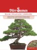 Juniperus chinensis - Chinesischer Wacholder