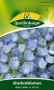 Campanula carpatica "Blau" - Karpaten-Glockenblume