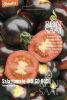 Stabtomate "Indigo Rose" - Solanum lycopersicum