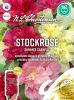 Alcea rosea "Summer Carnival" - Stockrose