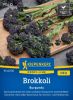 Sprossen-Brokkoli "Burgundy F1" - Brassica olearcea var. botrytis var. cymosa